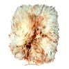 Dodo Juice Wookies Fist Supernatural Wash Mitt