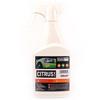 Valet PRO ValetPRO Citrus Bling - 500ml