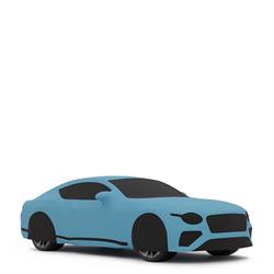 Specialised Covers Indoor Silhouette Tailored Indoor Car Cover
