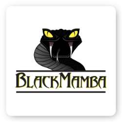 Black Mamba Logo