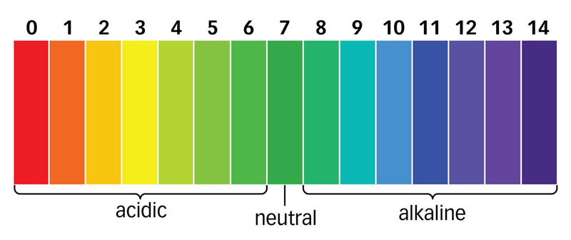 4.3 When To Use A pH Neutral Pre-Wash Cleaner