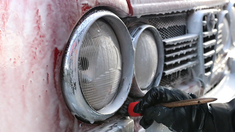 Swissvax Detail Brush