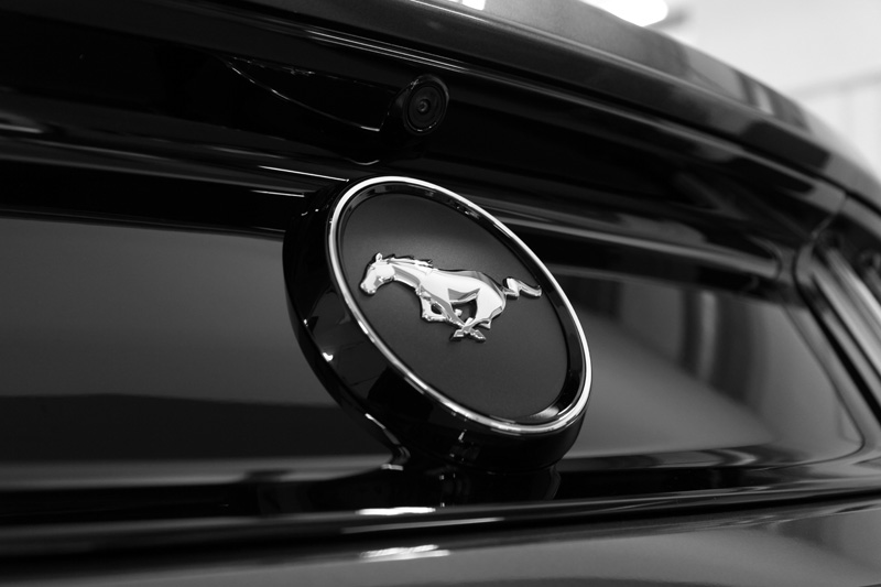 2017 Ford Mustang - New Car Protection Treatment
