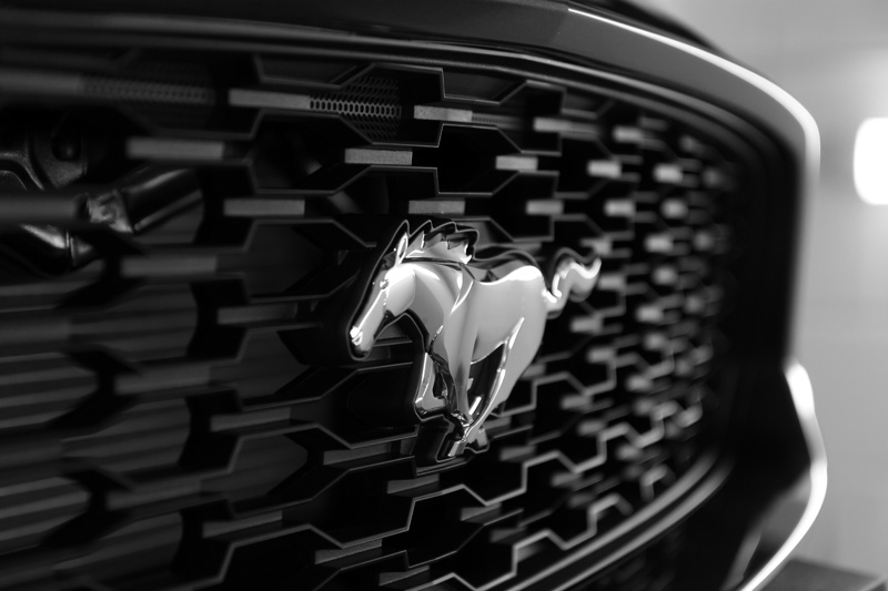 2017 Ford Mustang - New Car Protection Treatment