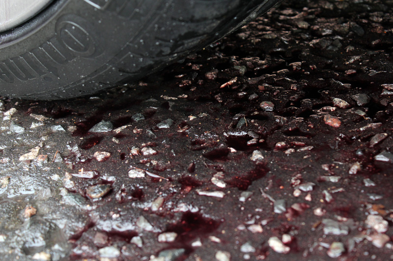 Audi RS4 Avant Full Paintwork Correction