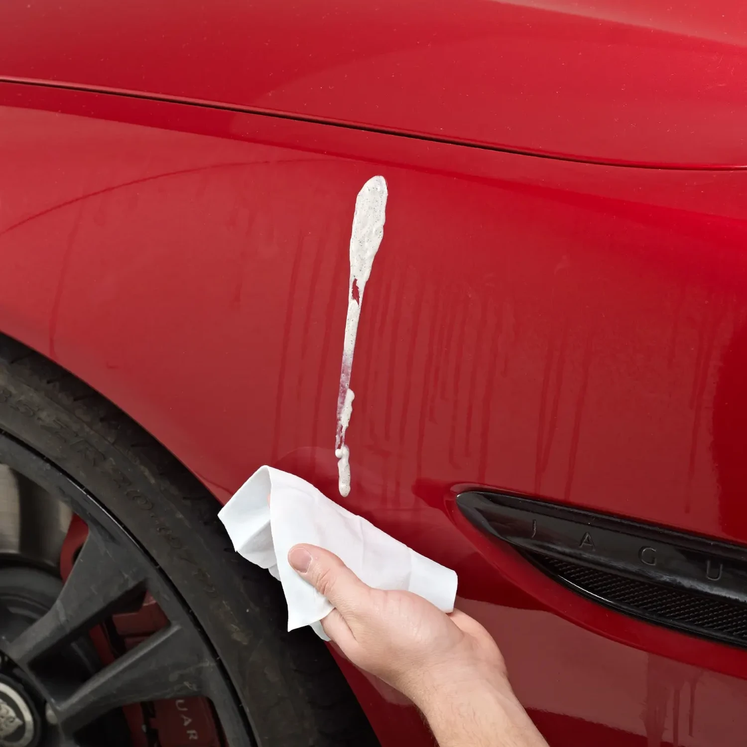 Bird Dropping Wipes - Image 3