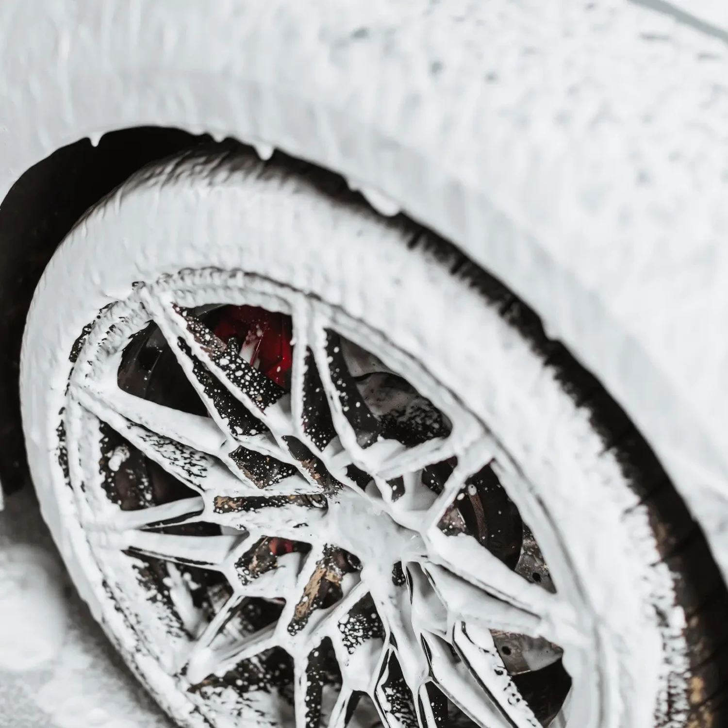 Polar Blast - Image 6