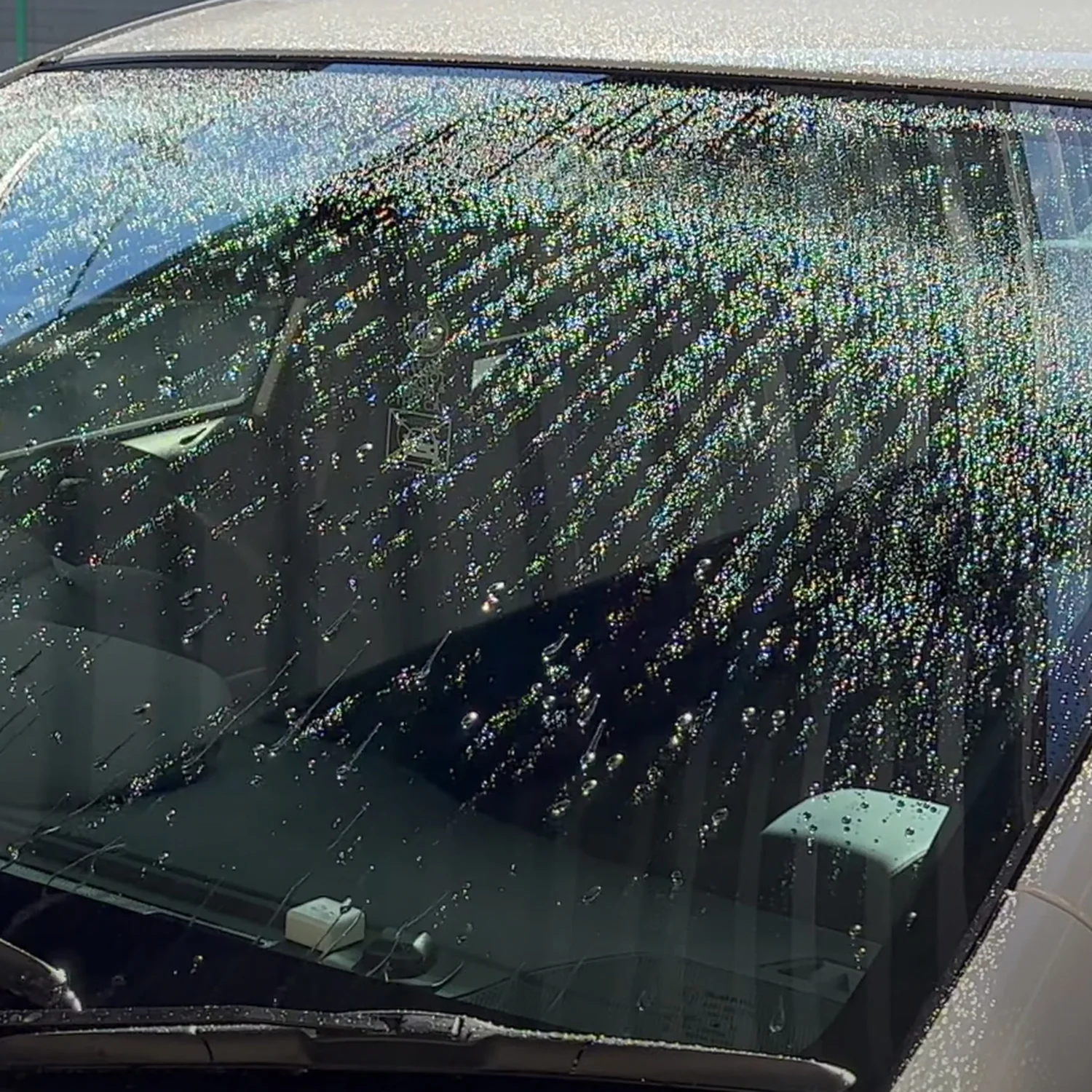 KMKZ Window Coat 2.0 - Image 4