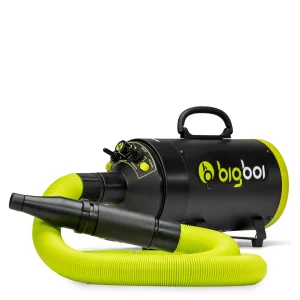 BlowR Mini