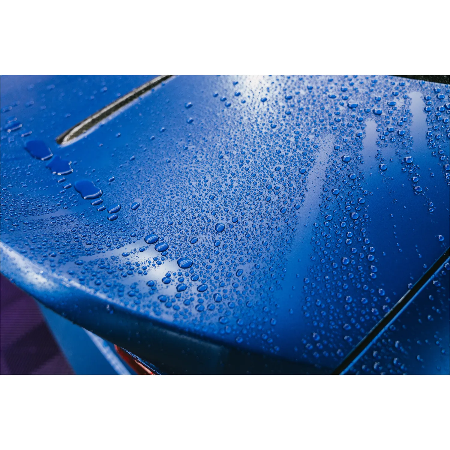 Matte Reactivating Shampoo - Image 7