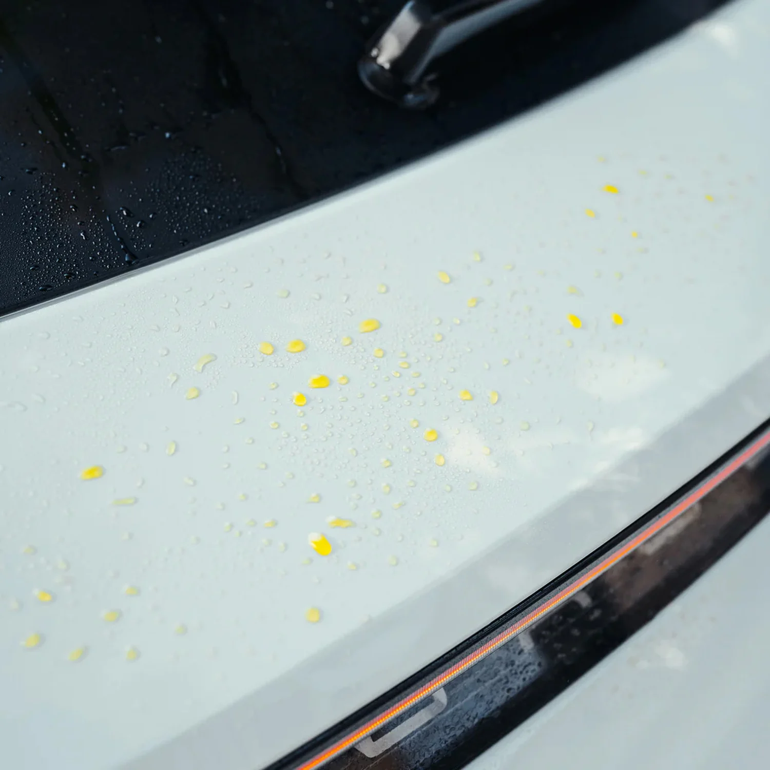 Glatt Rinse Aid - Image 5